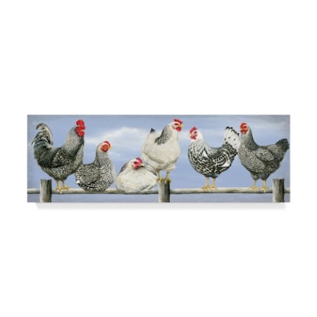 Janet Pidoux 'Black And White Hens' Canvas Art,16x47